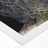 Vibrant rolled canvas artwork showcasing intricate marine life and coral designs, perfect for ocean-themed decor. Packaged securely in a protective tube for delivery.