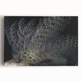 Vibrant marine life coral design stretched canvas wall art, showcasing intricate details and vivid colors, perfect for ocean-themed home decor.