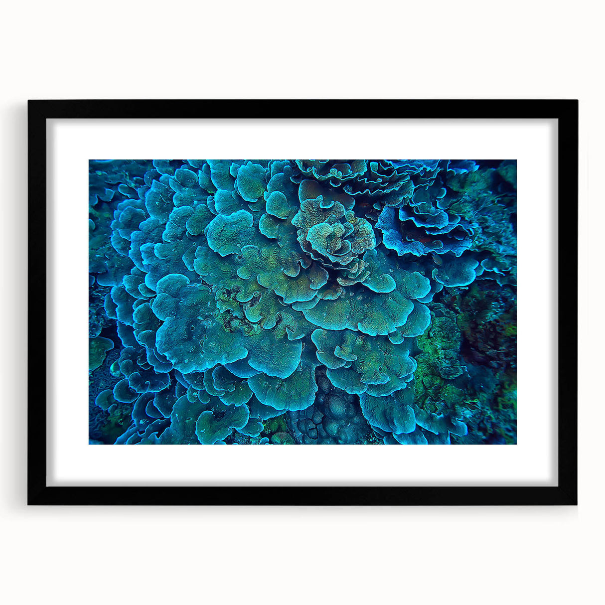 Framed black wall art featuring a vibrant marine life coral design, showcasing intricate details of colorful corals and aquatic creatures, perfect for ocean-themed decor.