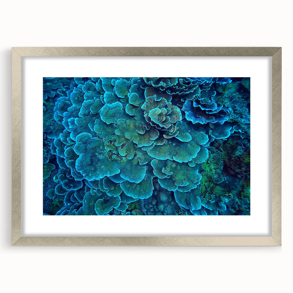 Framed wall art collection showcasing vibrant marine life and coral designs in a sleek silver frame, perfect for ocean-themed decor. Ideal for enhancing living spaces with a touch of underwater beauty.