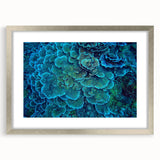 Framed wall art collection showcasing vibrant marine life and coral designs in a sleek silver frame, perfect for ocean-themed decor. Ideal for enhancing living spaces with a touch of underwater beauty.