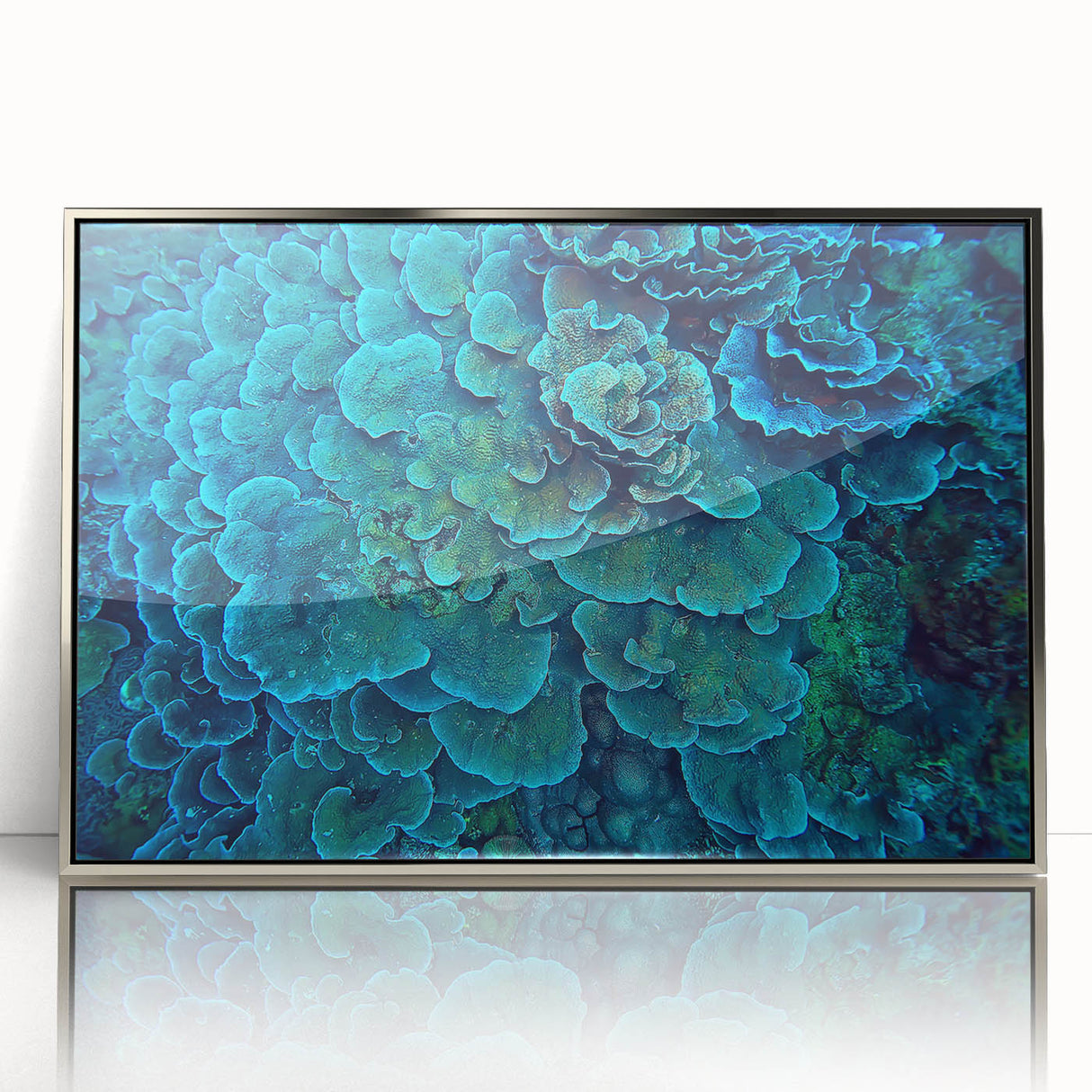 Framed acrylic wall art showcasing a vibrant marine life coral design, featuring intricate details in blue and orange hues, perfect for ocean-themed decor.