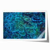 Vibrant coral reef wall art print showcasing intricate marine life designs in bright colors, rolled and ready for framing to enhance ocean-themed decor.