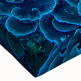 Close-up of a vibrant marine life coral design stretched canvas wall art, showcasing intricate textures and vivid colors, ideal for ocean-themed decor.