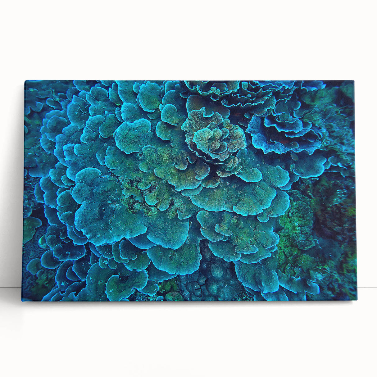 Vibrant stretched canvas wall art showcasing colorful marine life and coral designs, perfect for ocean-themed decor, adding a lively touch to any room.