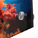 Close-up of vibrant marine life coral design wall art printed on acrylic glass, showcasing intricate textures and vivid colors, perfect for ocean-themed decor.