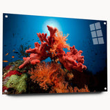 Acrylic wall art design showcasing vibrant marine life and coral patterns, displayed in a side view with decorative pins, perfect for ocean-themed decor.