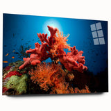 Colorful marine life coral design wall art displayed from a side view, featuring vibrant blue and orange hues on acrylic glass, perfect for ocean-themed decor.