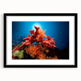 Framed wall art displaying a vibrant marine life coral design, featuring intricate details and a sleek black frame, ideal for ocean-themed decor.