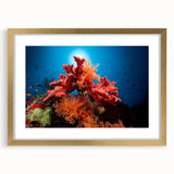 Framed wall art showcasing a vibrant marine life coral design in gold, highlighting intricate details and textures, perfect for ocean-themed decor.