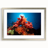 Framed wall art collection showcasing vibrant marine life and coral designs in a silver frame, perfect for ocean-themed decor and enhancing interior aesthetics.