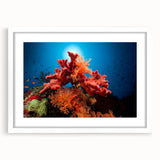 Framed wall art featuring a vibrant coral reef design, showcasing detailed marine life in vivid colors, set against a sleek white mat, perfect for ocean-themed decor.