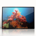 Framed acrylic wall art featuring a vibrant marine life coral design, showcasing intricate details in blues and oranges, perfect for ocean-themed decor.