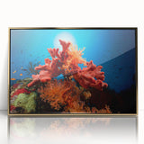 Framed acrylic wall art showcasing a vibrant marine life coral design, featuring gold accents and a modern aesthetic, perfect for enhancing coastal-themed decor.
