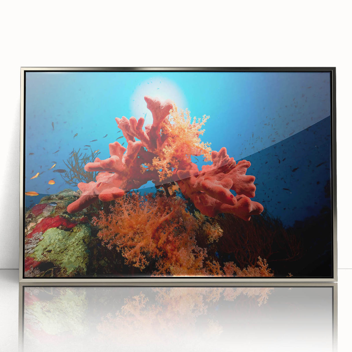 Framed acrylic wall art featuring a vibrant coral reef design in hues of blue and orange, perfect for marine life enthusiasts, displayed with a sleek silver frame.