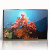 Framed acrylic wall art featuring a vibrant coral reef design in hues of blue and orange, perfect for marine life enthusiasts, displayed with a sleek silver frame.