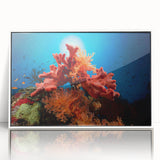 Framed wall art showcasing vibrant coral reef marine life design with intricate details, set against a clean white background, perfect for ocean-themed decor.