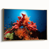Framed canvas wall art showcasing a vibrant coral design with marine life elements, featuring a gold frame, ideal for coastal-themed decor in living spaces.