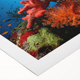 Vibrant rolled canvas artwork showcasing a stunning marine life coral design, featuring intricate details in blue and orange hues, ideal for ocean-themed decor.