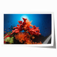 Vibrant coral reef wall art print showcasing intricate marine life details, perfect for ocean-themed decor, rolled and ready for framing.