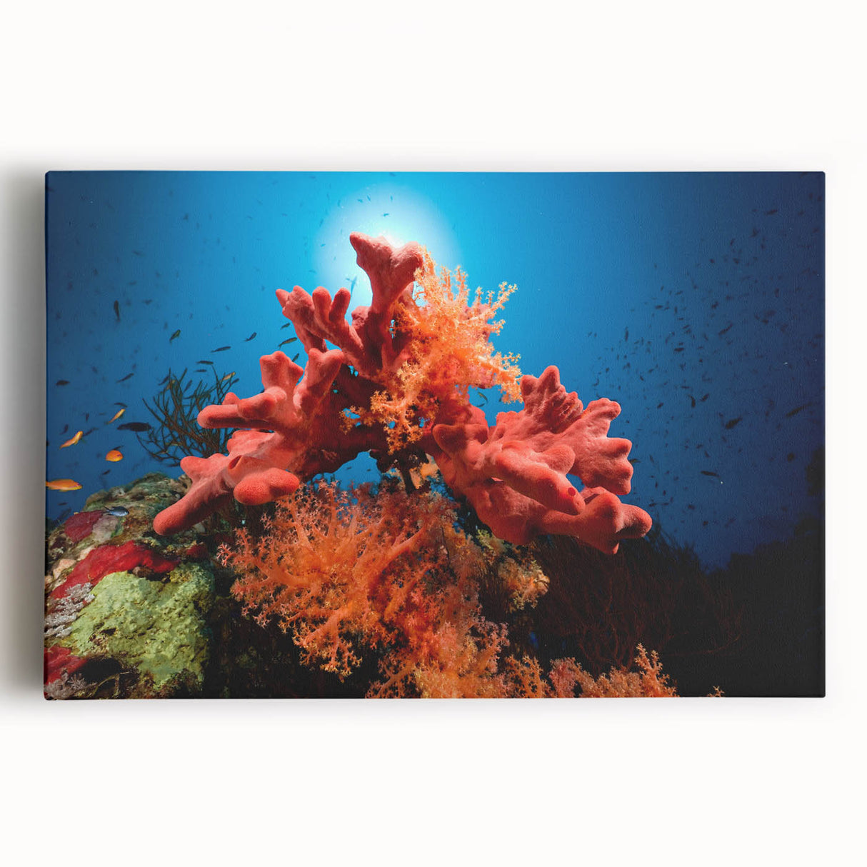 Vibrant coral reef wall art on stretched canvas, showcasing intricate marine life designs in vivid colors, ideal for ocean-themed decor and nature lovers.