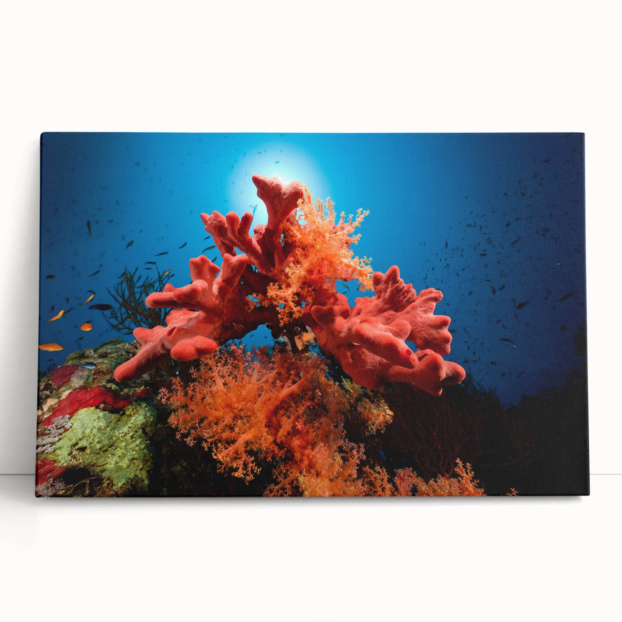 Vibrant coral reef wall art on stretched canvas, showcasing intricate marine life designs in bright colors, perfect for coastal home decor.