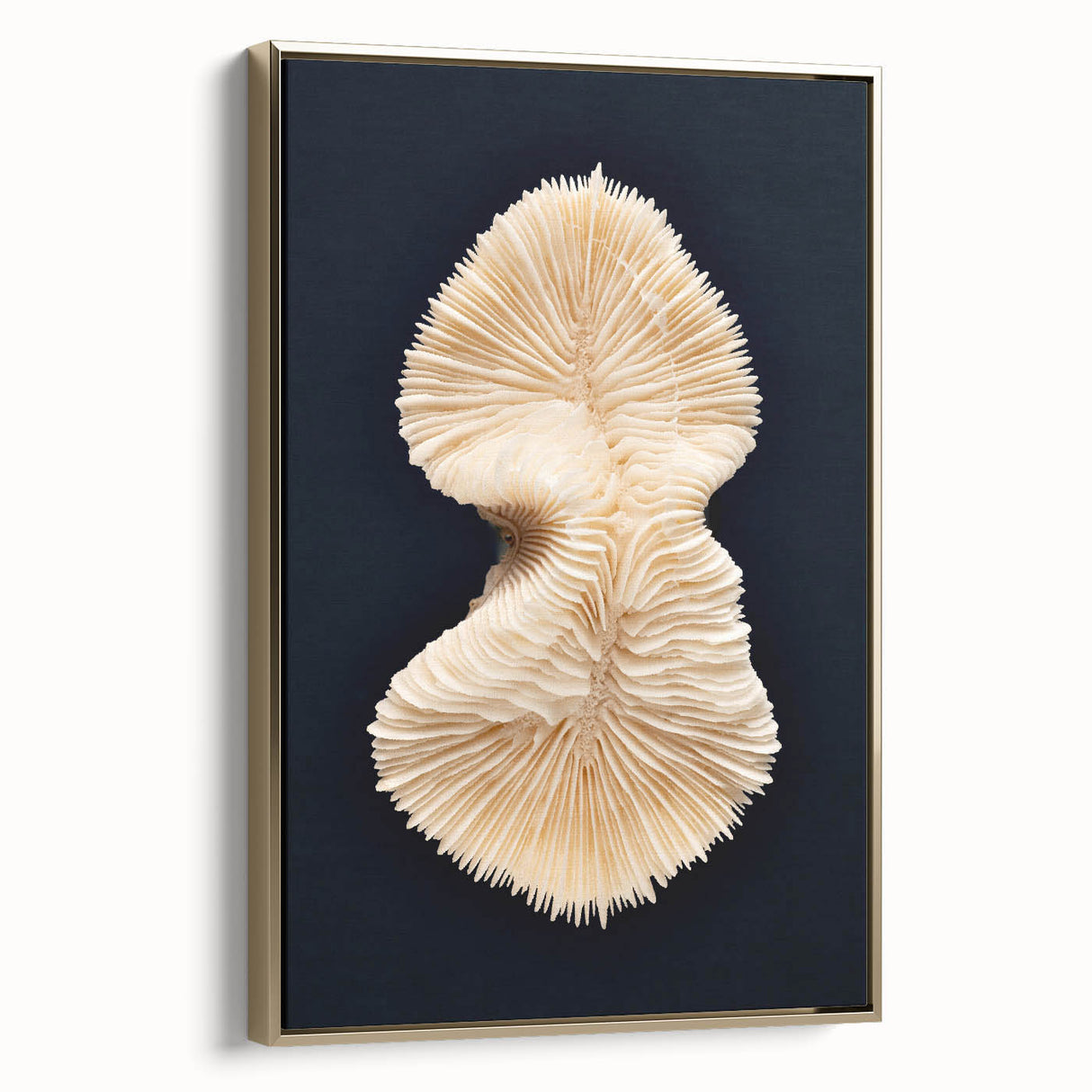 Framed canvas wall art showcasing a vibrant marine life coral design with gold accents, perfect for enhancing ocean-themed decor and adding elegance to interiors.