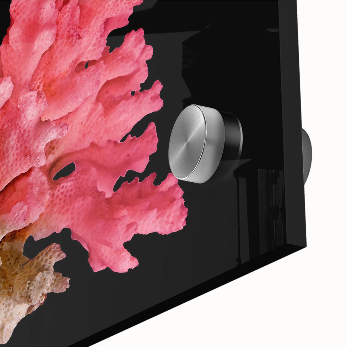 Close-up of vibrant marine life coral design wall art collection printed on acrylic glass, showcasing intricate details and bright colors, perfect for ocean-themed decor.