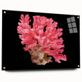 Acrylic wall art collection showcasing vibrant marine life and coral designs, displayed from the side with decorative pins for hanging. Ideal for ocean lovers.