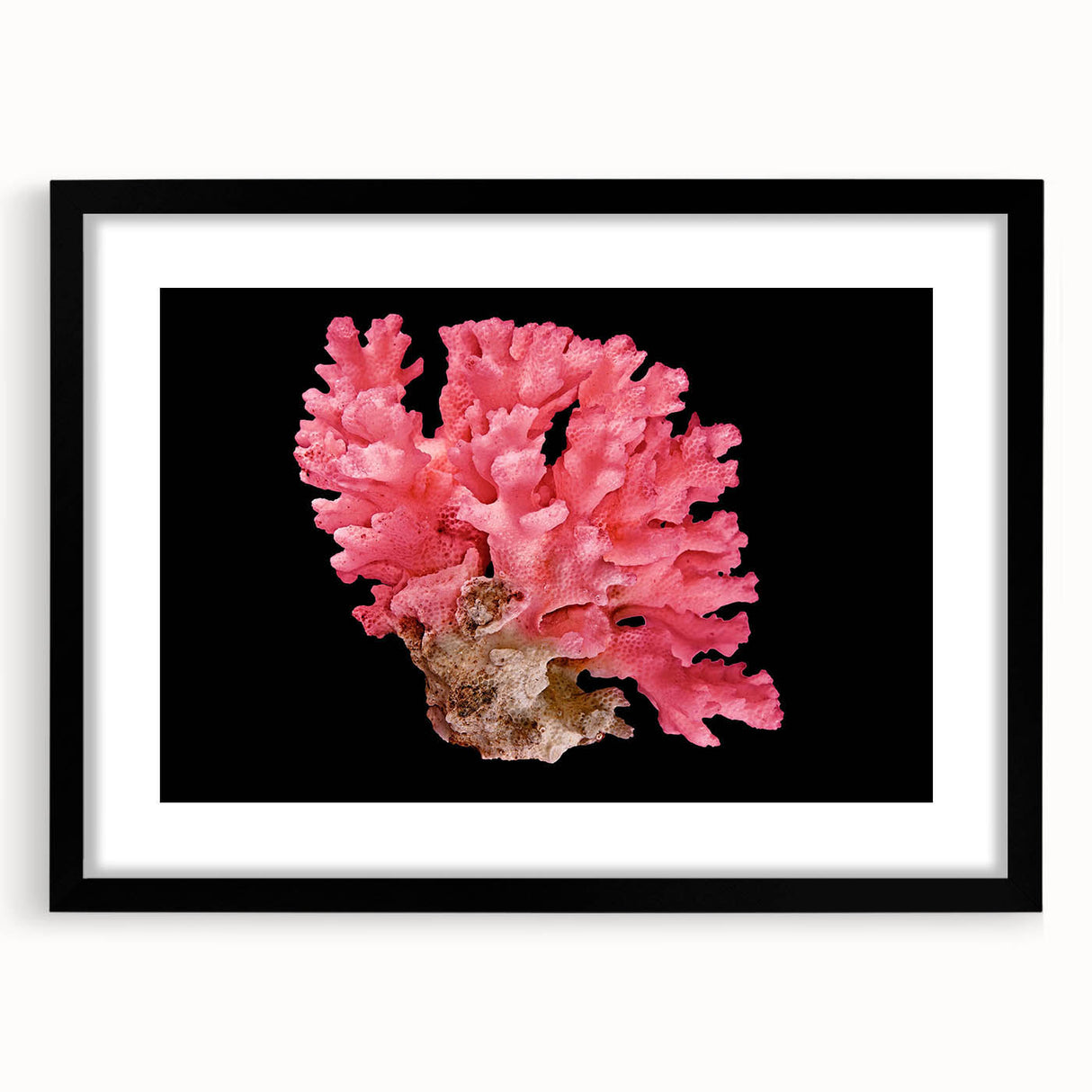 Black-framed wall art featuring a vibrant marine life and coral design, elegantly matted, perfect for enhancing ocean-themed decor and creating a serene atmosphere.