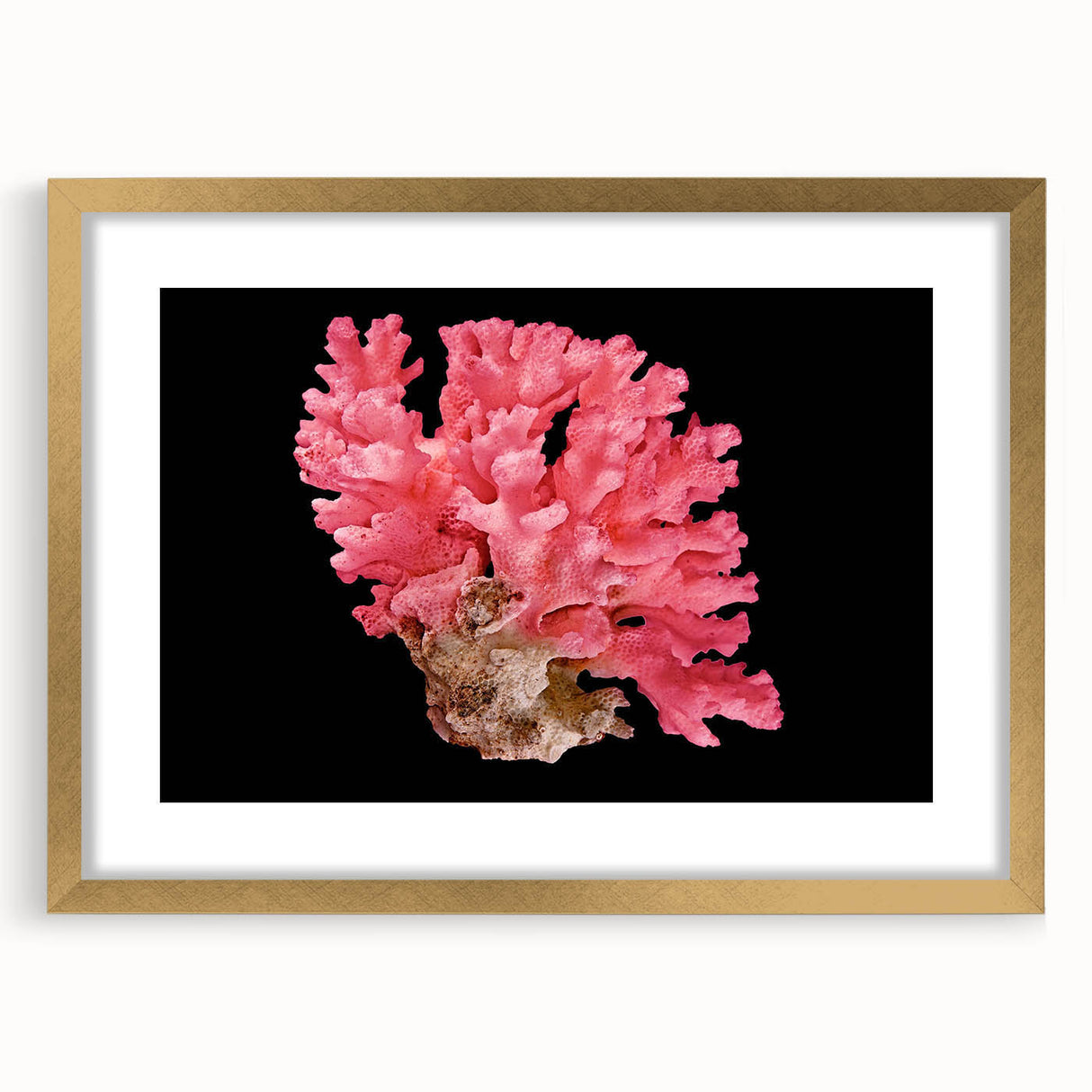 Framed wall art featuring a vibrant marine life coral design in gold, showcasing intricate details and vivid colors, perfect for ocean-themed decor.