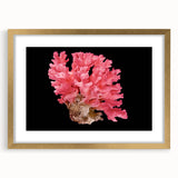 Framed wall art featuring a vibrant marine life coral design in gold, showcasing intricate details and vivid colors, perfect for ocean-themed decor.
