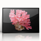 Framed acrylic wall art featuring a vibrant marine life coral design, showcasing intricate details in blue, green, and coral hues, perfect for ocean-themed decor.