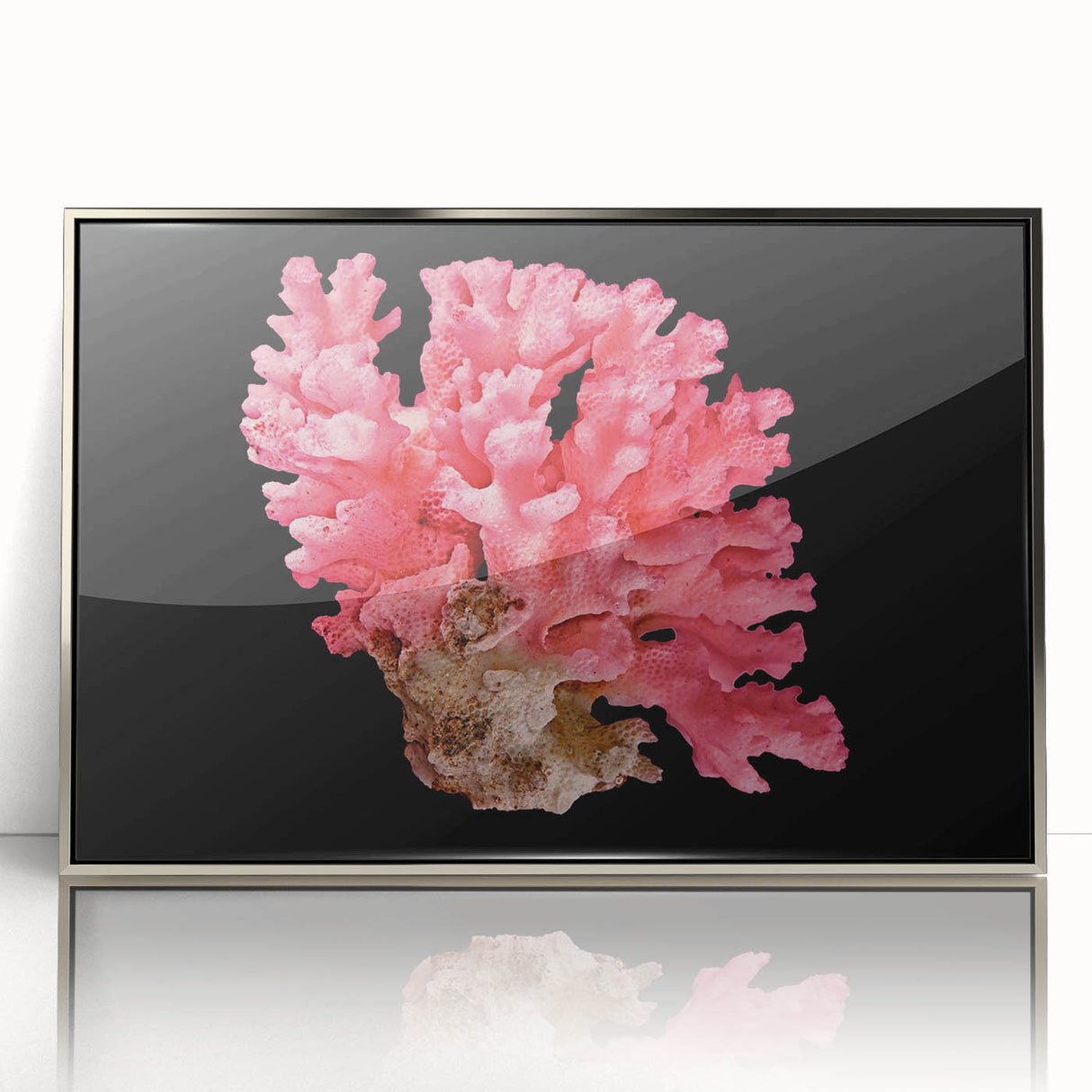 Framed acrylic wall art showcasing a vibrant marine life coral design, featuring intricate details and a sleek silver frame, ideal for ocean-themed decor.