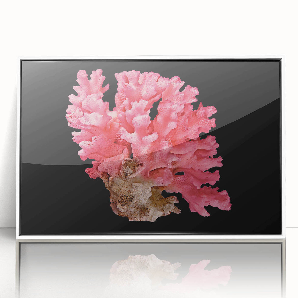Framed acrylic wall art showcasing a vibrant marine life coral design, featuring intricate details and bright colors, perfect for ocean-themed decor.