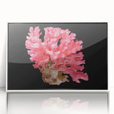 Framed acrylic wall art showcasing a vibrant marine life coral design, featuring intricate details and bright colors, perfect for ocean-themed decor.