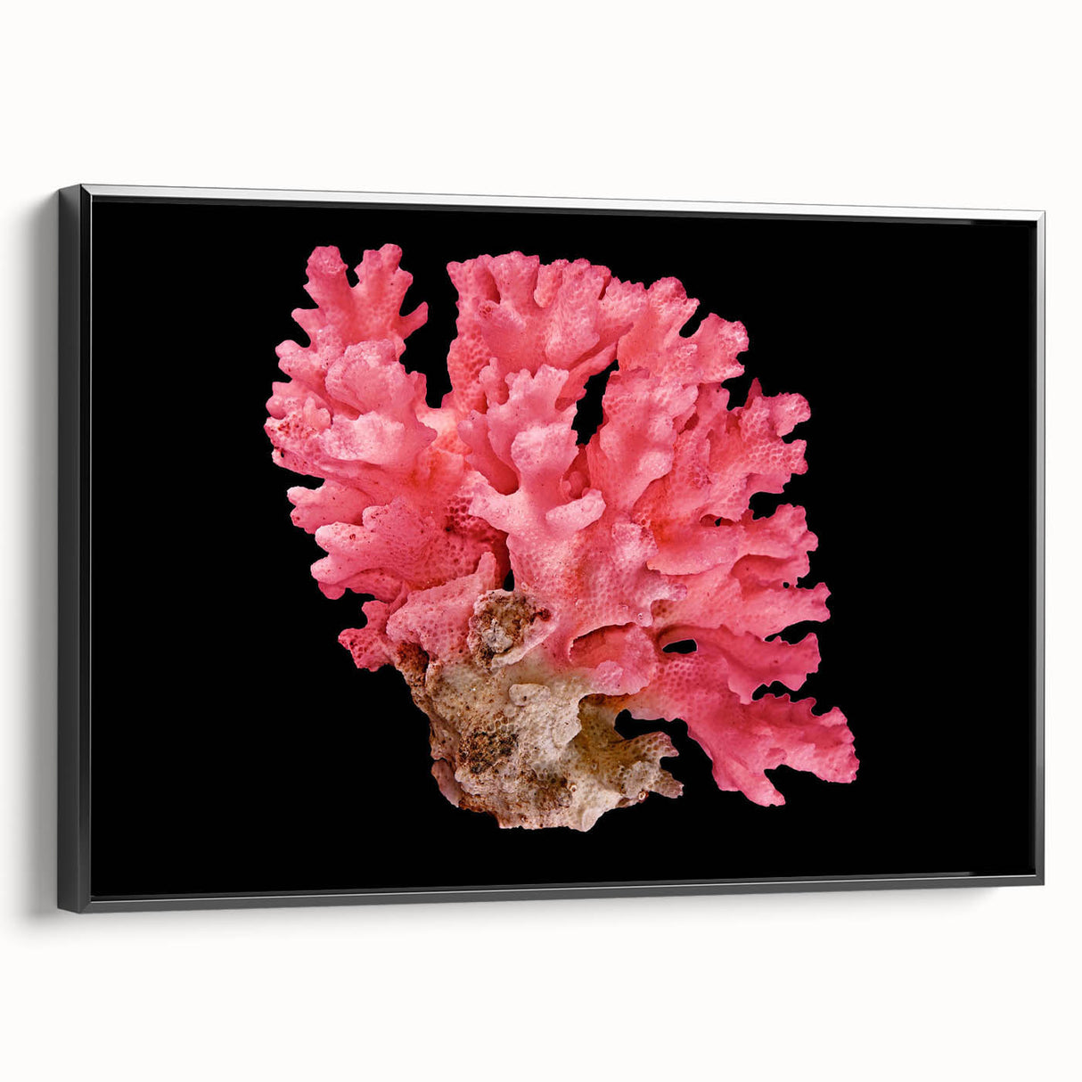 Framed canvas wall art showcasing a vibrant marine life coral design in a sleek black frame, perfect for ocean-themed decor in homes or offices.