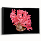 Framed canvas wall art showcasing a vibrant marine life coral design in a sleek black frame, perfect for ocean-themed decor in homes or offices.