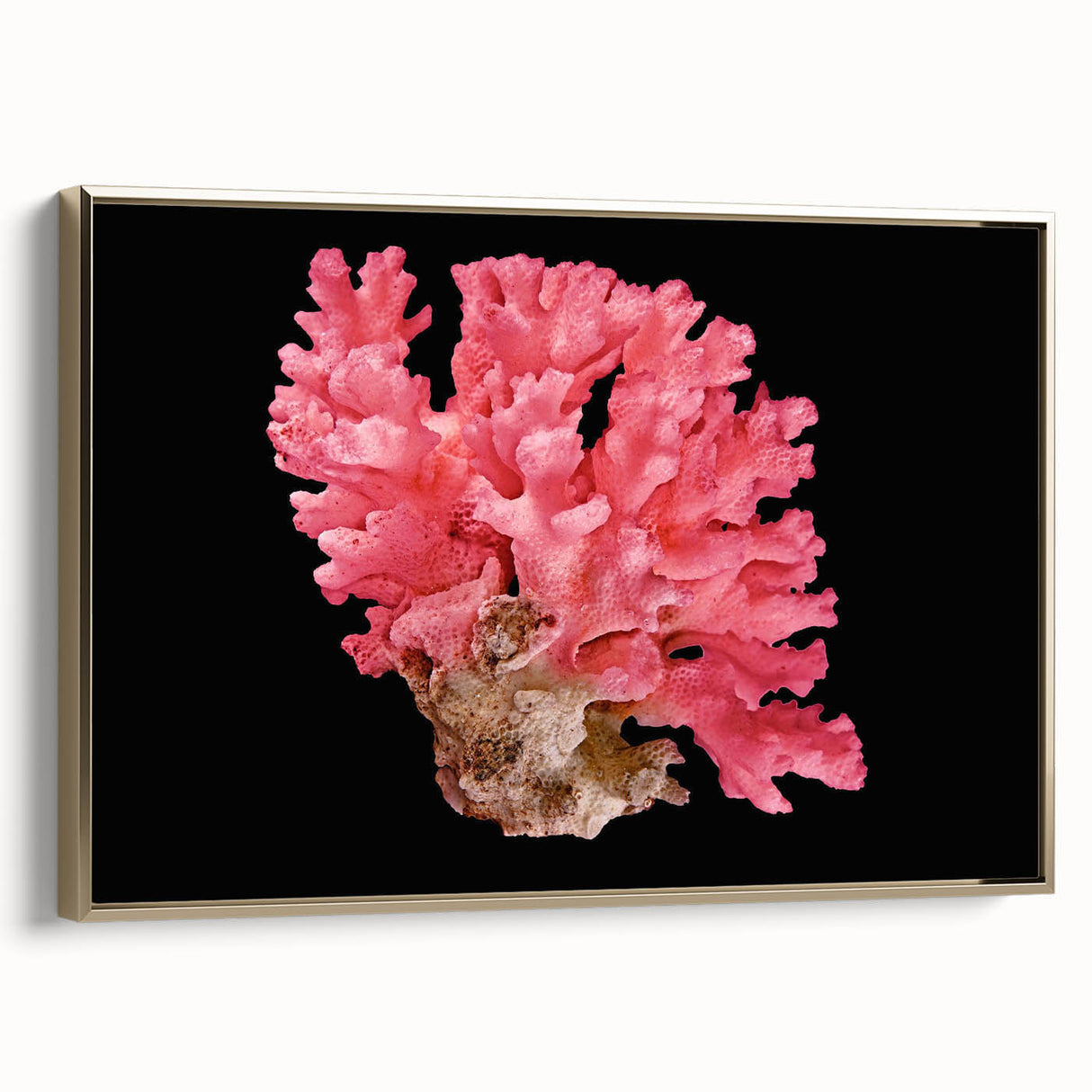 Framed wall art featuring a vibrant marine life coral design in gold tones. The canvas showcases intricate details of underwater flora, perfect for ocean-themed decor.