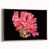 Framed wall art featuring a vibrant marine life coral design in gold tones. The canvas showcases intricate details of underwater flora, perfect for ocean-themed decor.