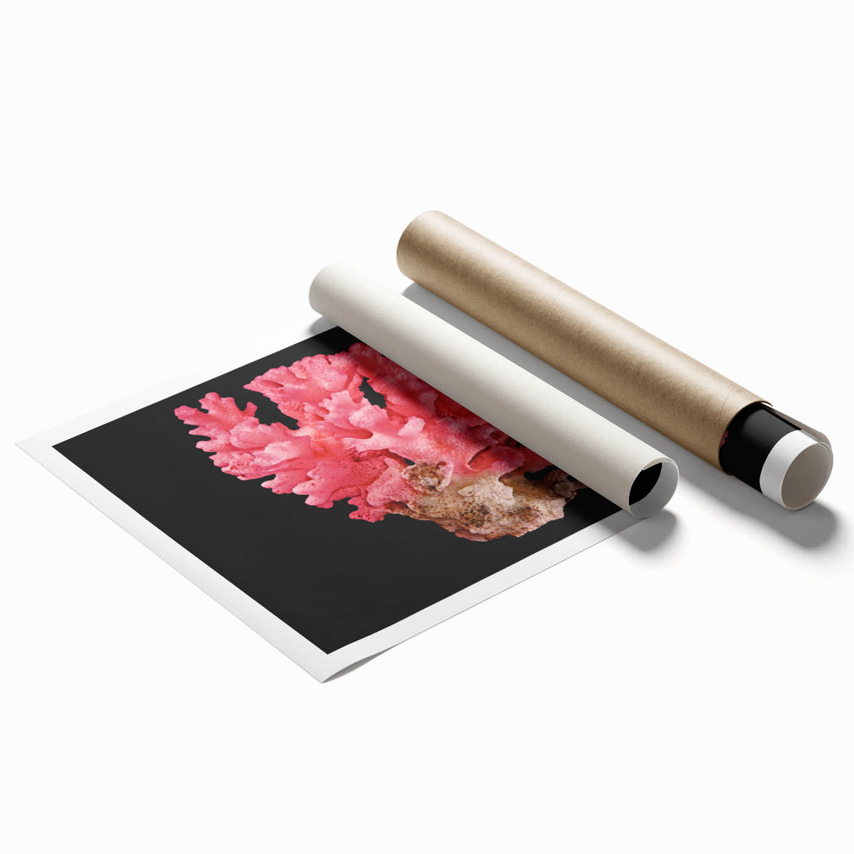 Vibrant coral reef wall art print showcasing intricate marine life designs, ideal for ocean-themed decor. Rolled and ready for framing, this artwork adds a lively touch to any space.