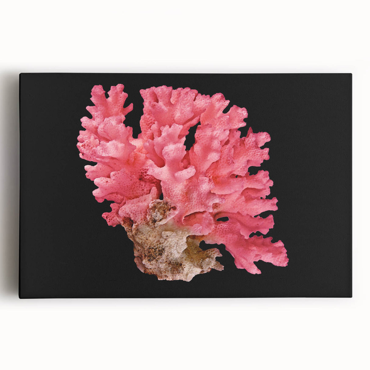Vibrant coral reef canvas wall art showcasing intricate marine life designs, perfect for ocean-themed decor, enhancing any living space with color and tranquility.