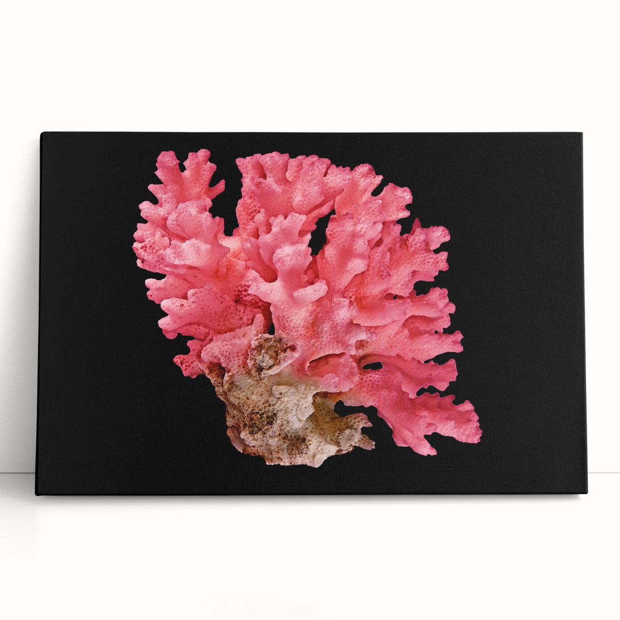 Vibrant coral reef wall art collection on stretched canvas, showcasing colorful marine life in a stunning underwater scene, perfect for ocean-themed decor.