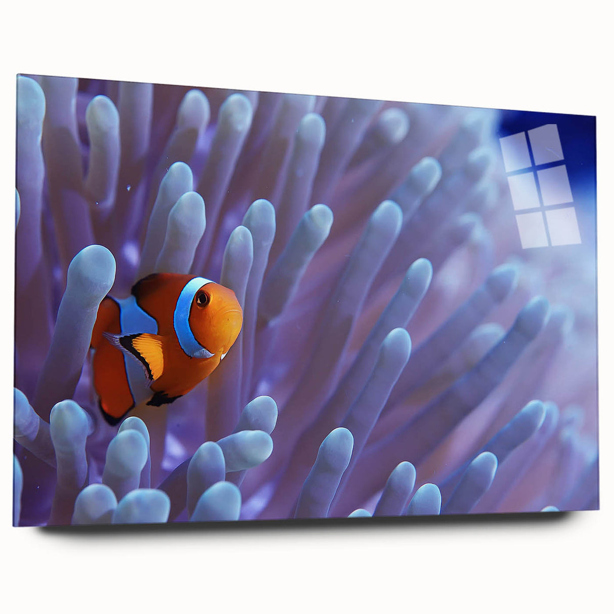 Side view of a vibrant acrylic glass wall art piece showcasing an intricate marine life coral design, perfect for ocean-themed decor and enhancing interior spaces.