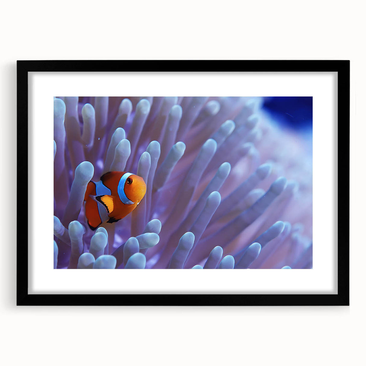 Framed marine life coral design wall art, featuring vibrant colors and intricate details, set in a stylish black frame with a mat, perfect for ocean-themed decor.