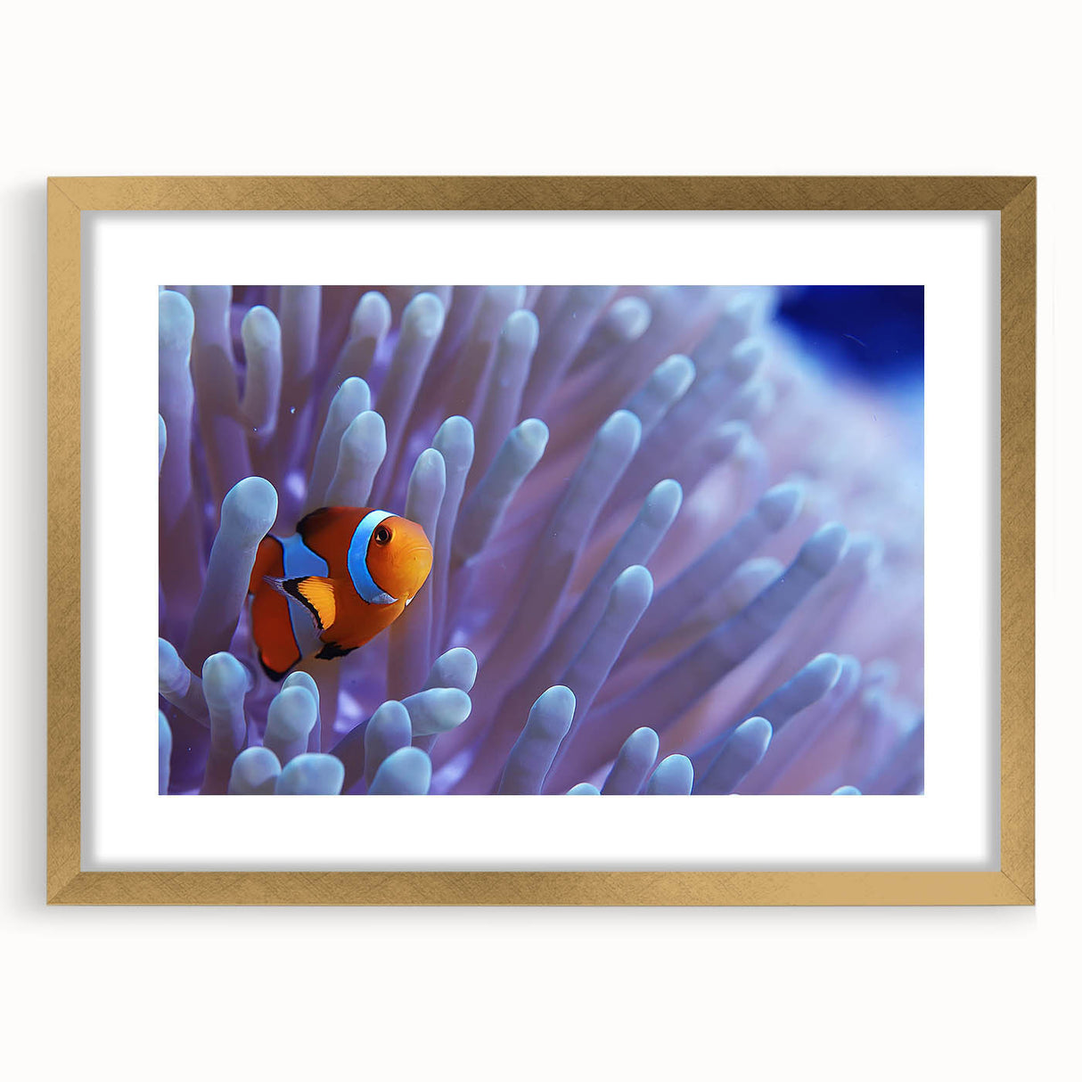Gold-framed wall art showcasing a vibrant marine life coral design, featuring intricate details and a mat border, perfect for ocean-themed decor.