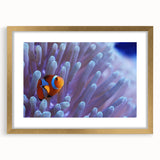 Gold-framed wall art showcasing a vibrant marine life coral design, featuring intricate details and a mat border, perfect for ocean-themed decor.