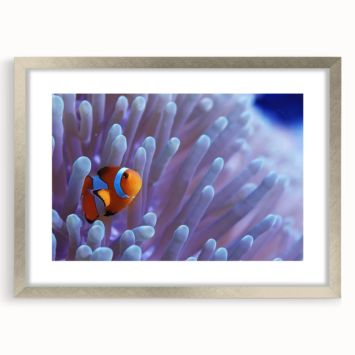 Silver-framed wall art featuring a vibrant marine life and coral design, elegantly matted and perfect for enhancing coastal decor and ocean-themed interiors.