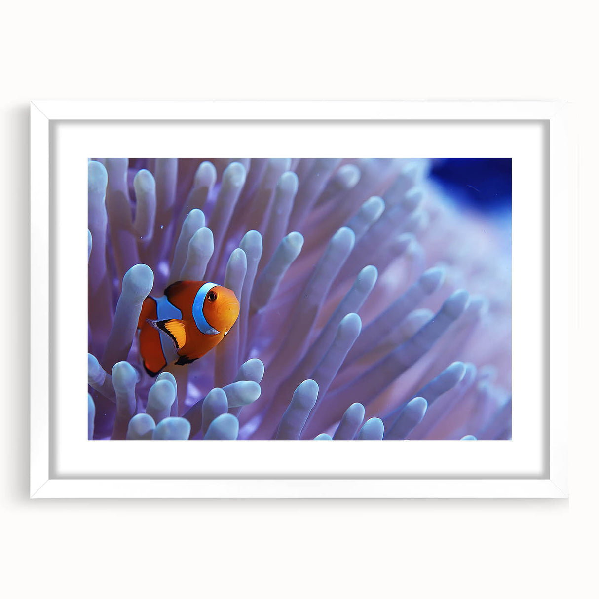 Framed wall art featuring a vibrant coral design, showcasing intricate marine life details in bright colors, with a white mat for an elegant presentation.