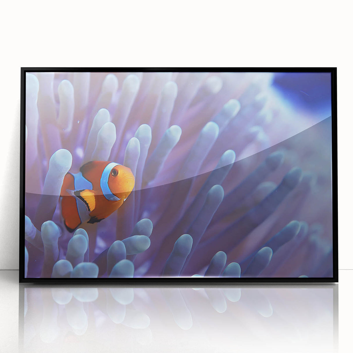 Framed acrylic wall art showcasing a vibrant marine life coral design in black frame, perfect for coastal-themed decor, adding color and elegance to any space.